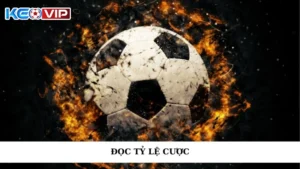 Nắm bắt chung về đọc tỷ lệ cược